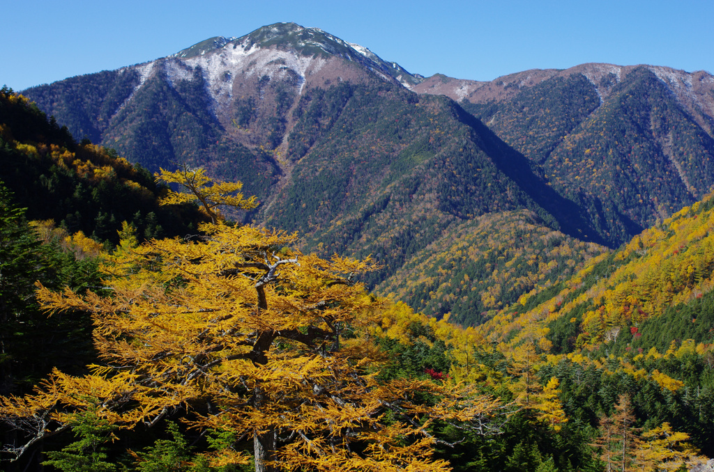 黄葉・仙水峠