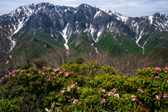 岩壁に花束を Ⅱ