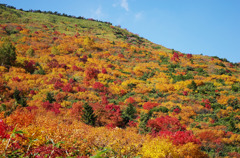 燃える山