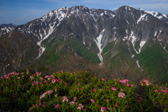 岩壁に花束を