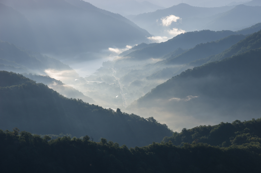 朝霧