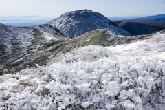 雪化粧