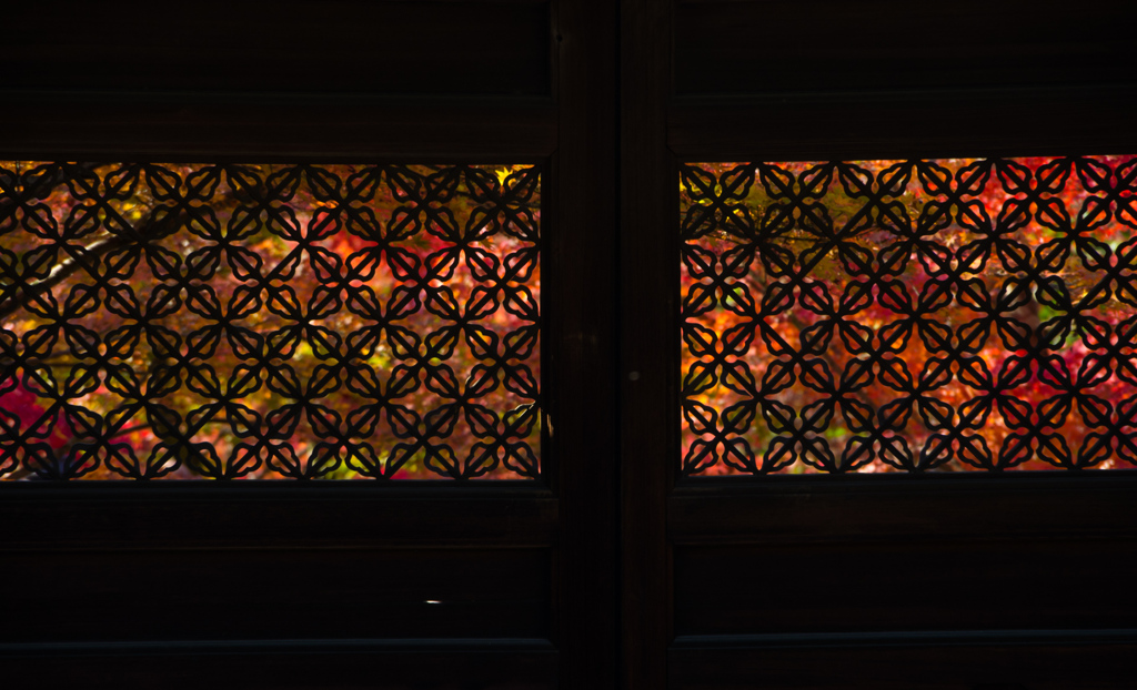 京の秋　5