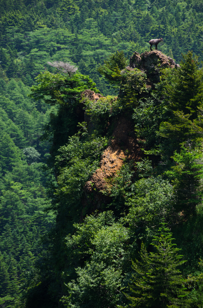 山の神