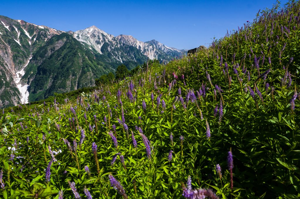 花穂と三山