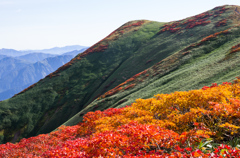 彩りの山