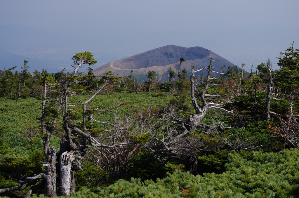 秘密基地