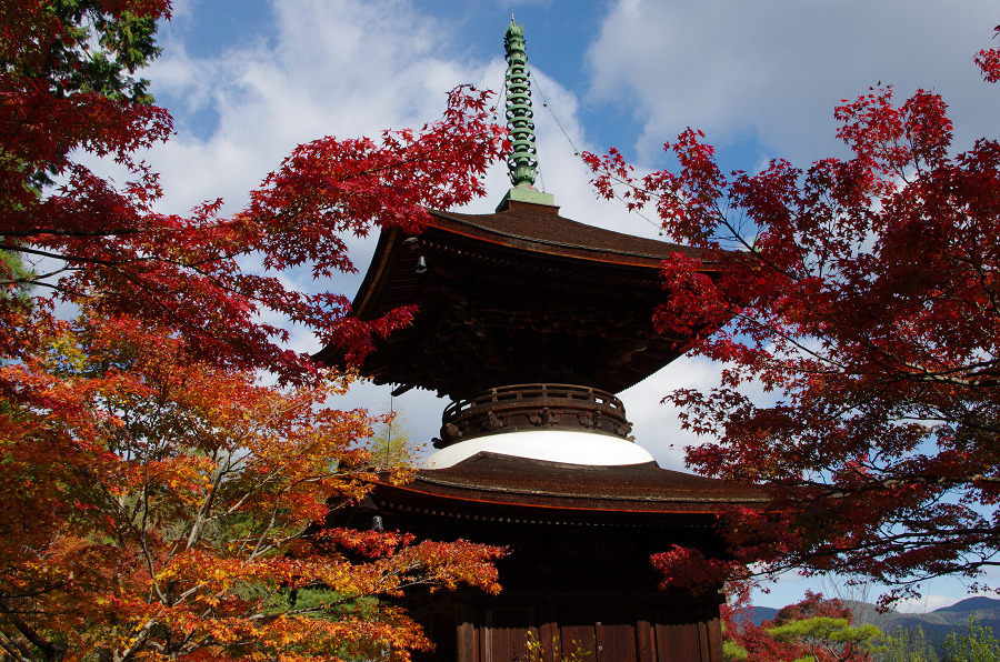 紅葉の常寂光寺