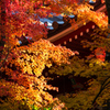 京の秋　2