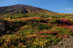 草紅葉をまとう吾妻小富士