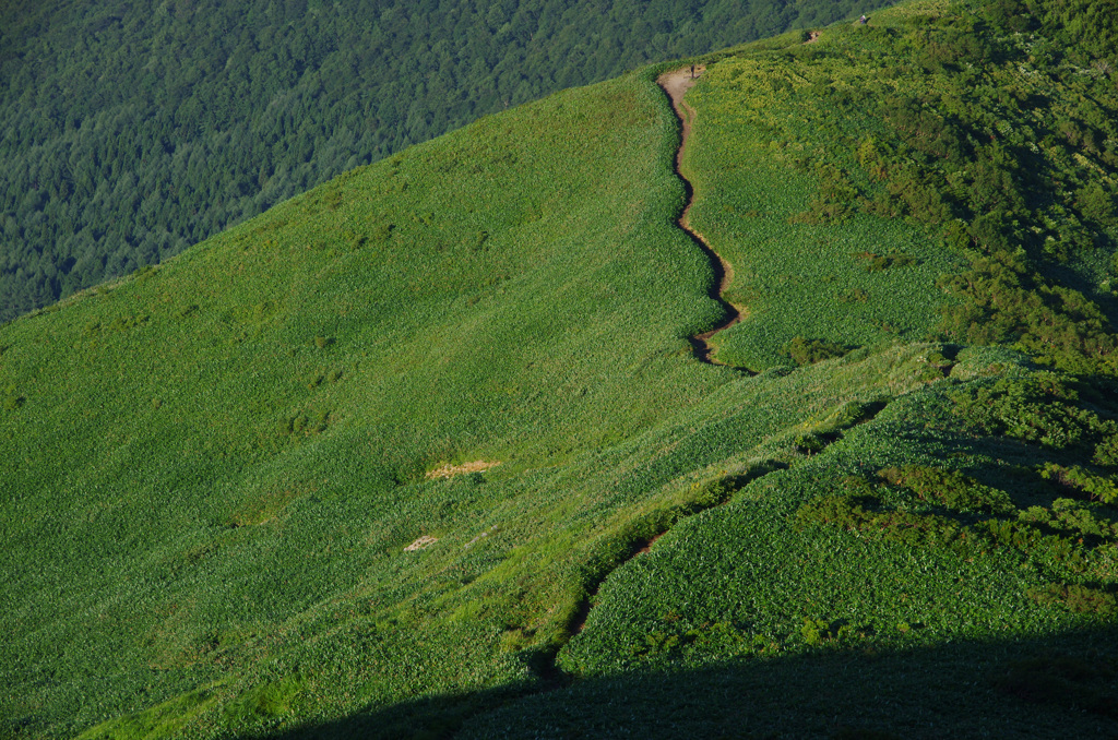 green road