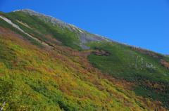 錦の峰