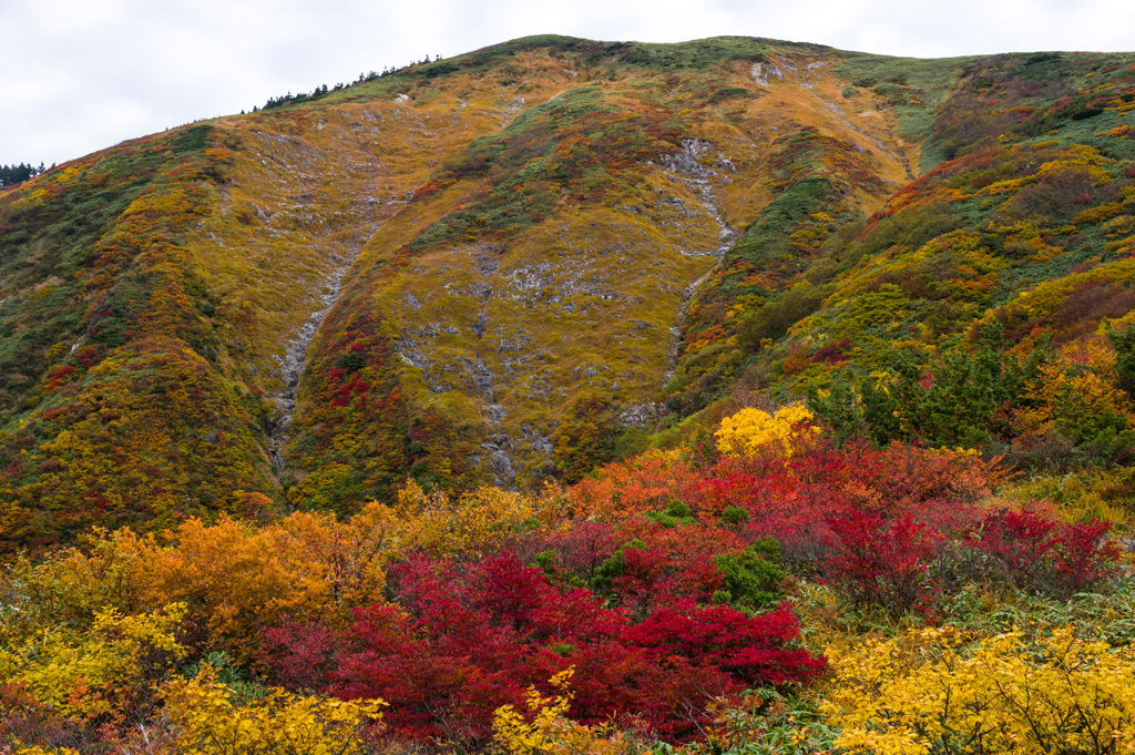 秋山