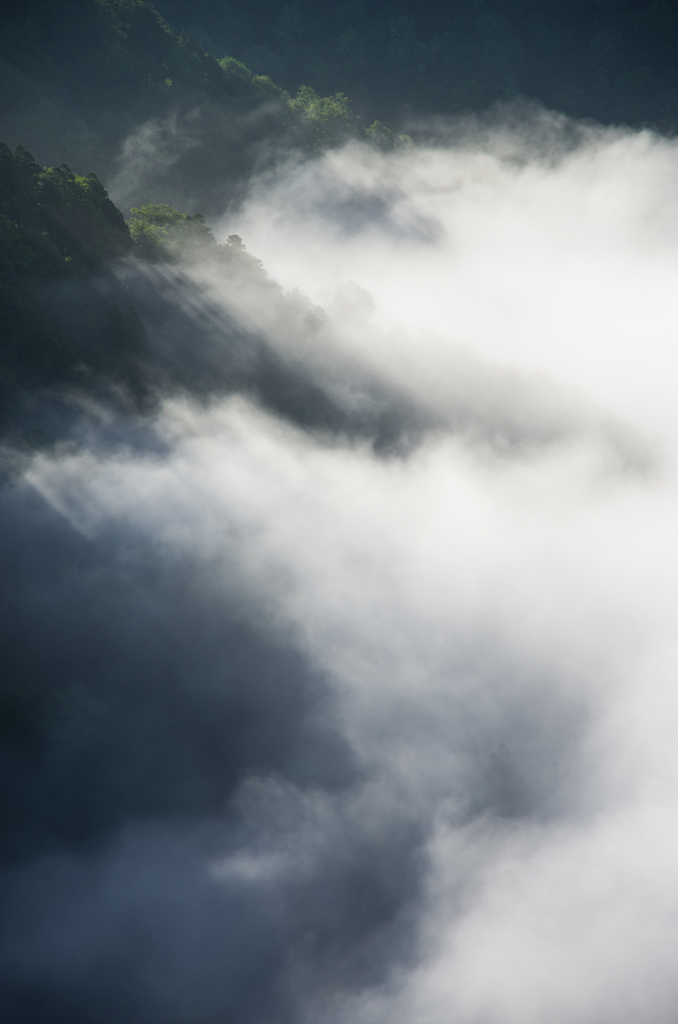 雲海輝く