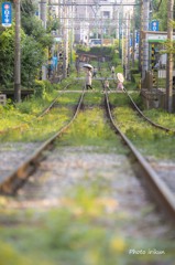 夕方のお散歩