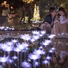 夜の花