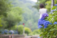 あじさいの駅