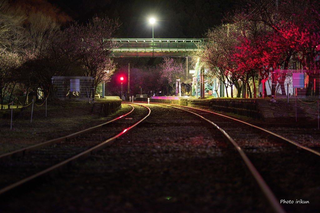 ファインダー越しの鉄路Ⅲ