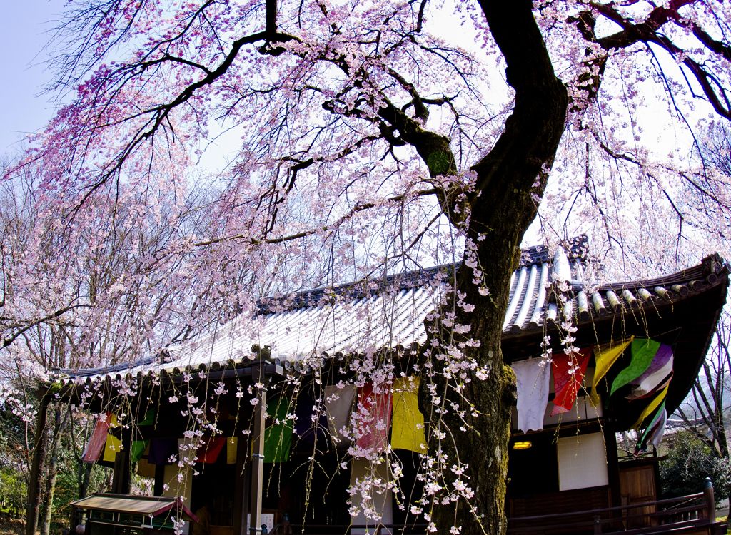 京都観光９　醍醐寺２