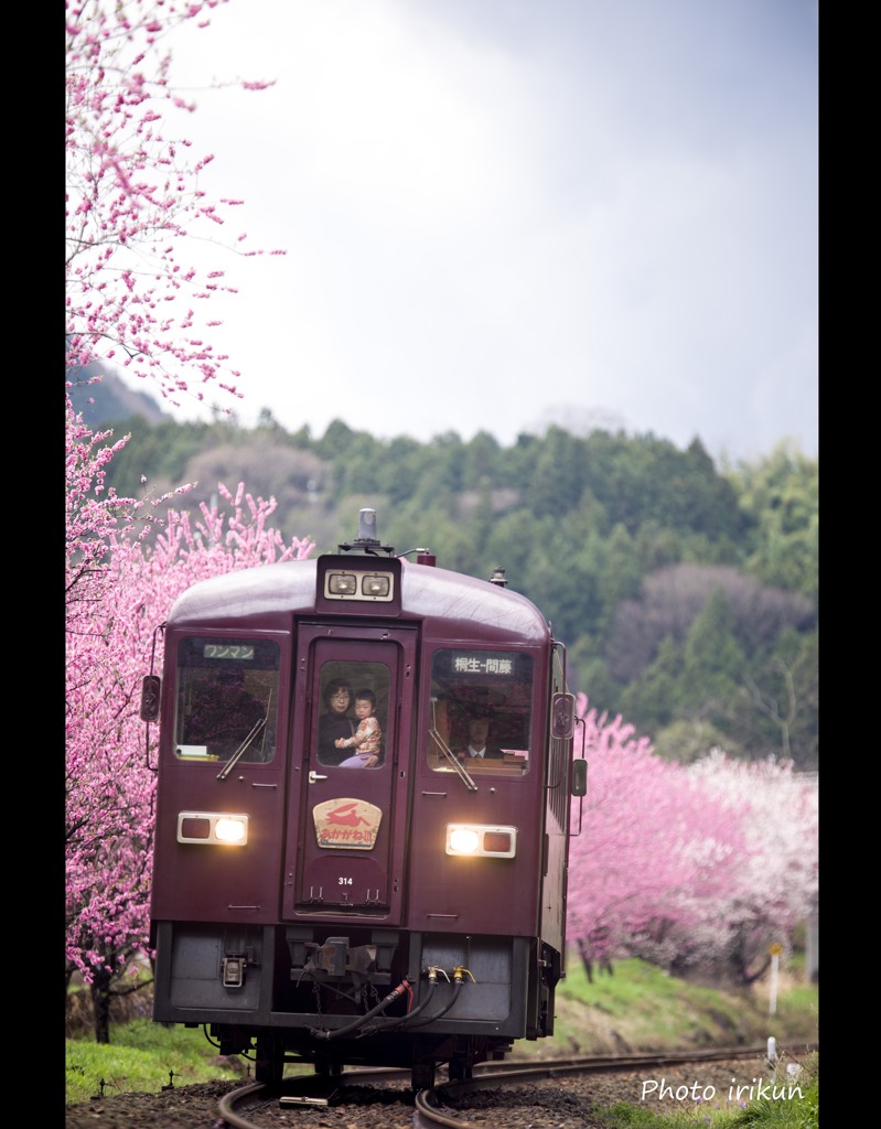 もも色二人旅