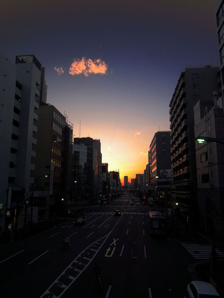 上野の山に暮れる夕日（浅草通り）