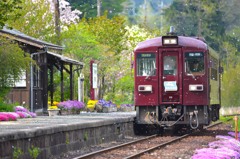桜舞う