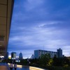 雨あがり