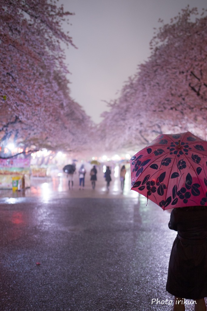 雨の宴