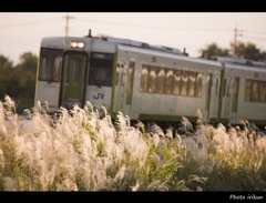 夕映
