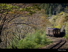 落葉のわたらせ渓谷鐵道