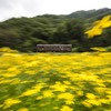 花園を走り抜ける