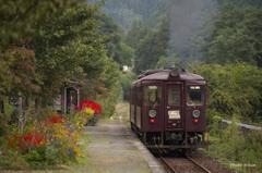 花の上神梅