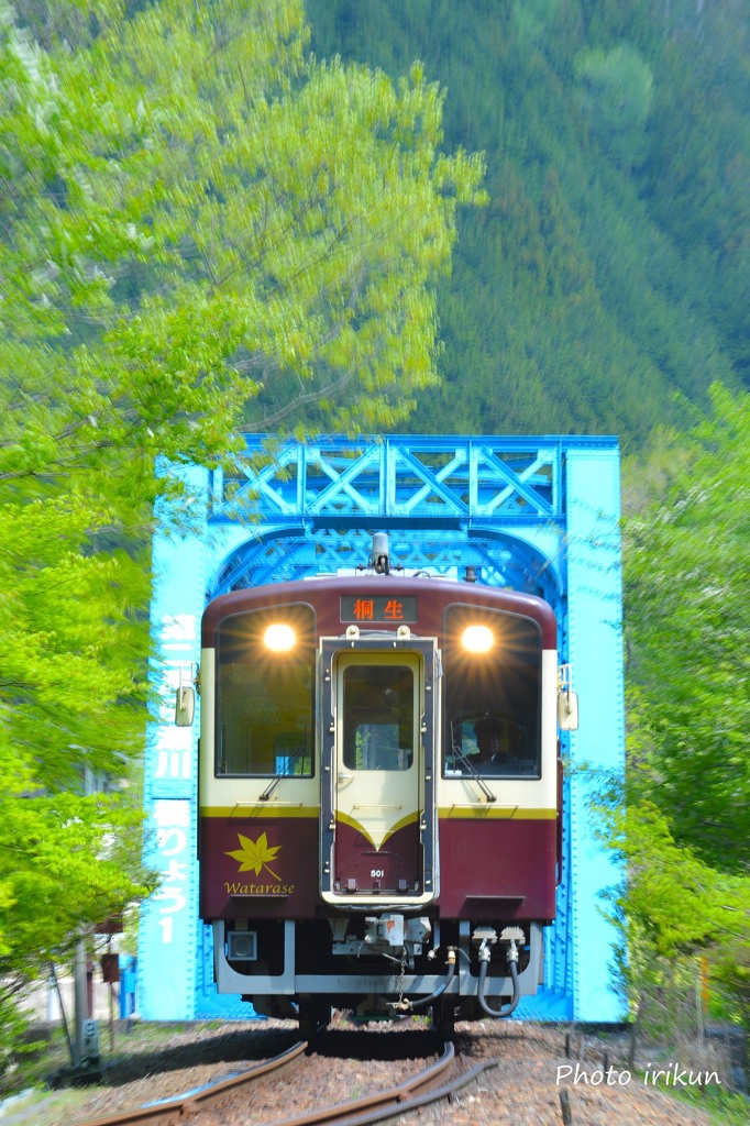 新緑の渡良瀬川第二橋梁