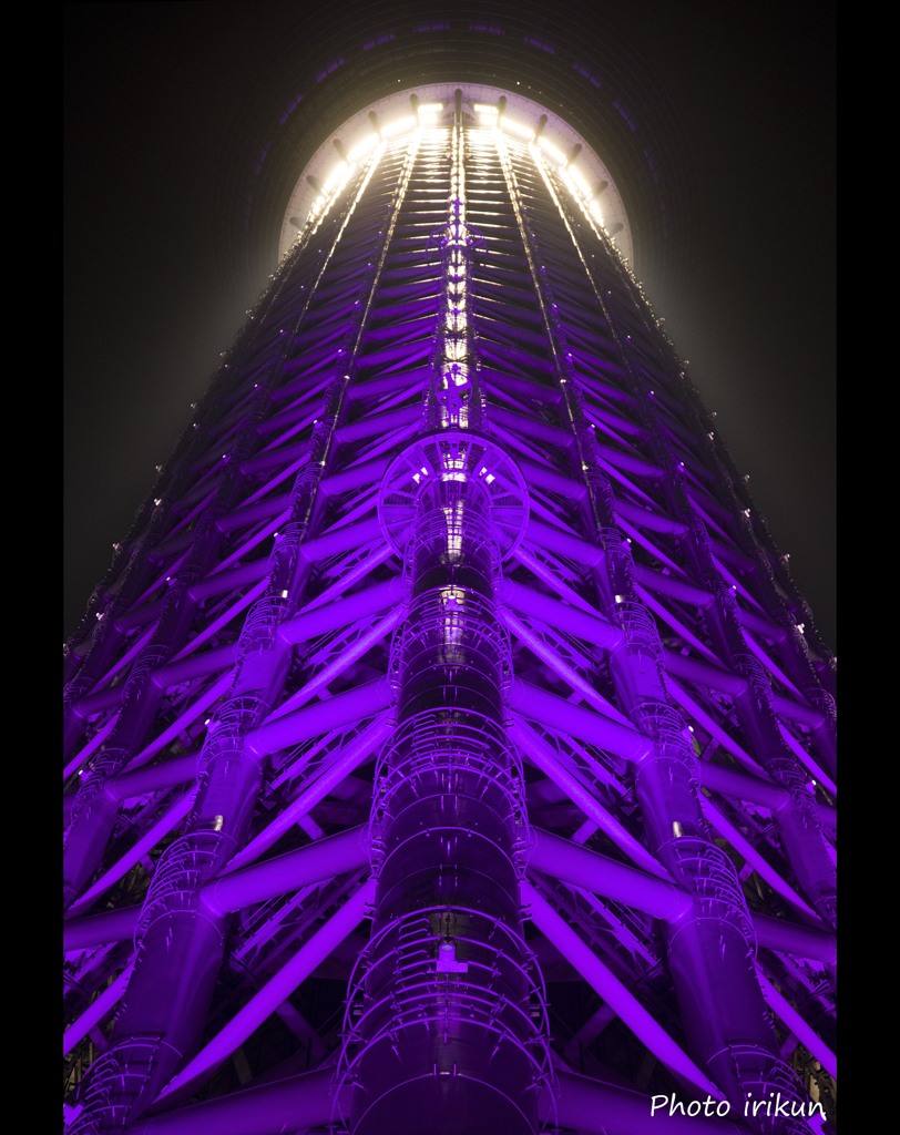 雅