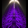 雅