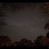 眠れぬ森