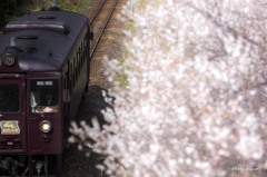 ラストラン