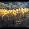 吾妻渓谷