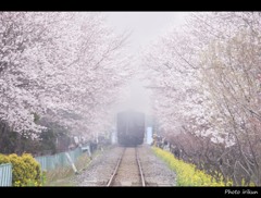 過ぎ行く喝采