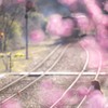 春の訪れ