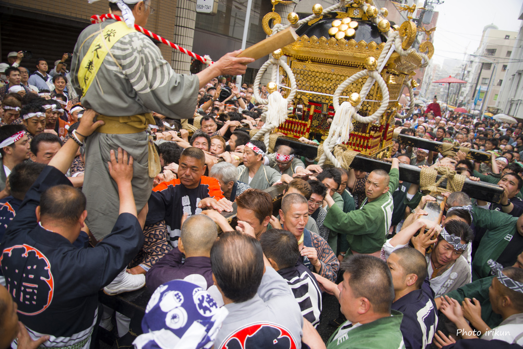 鳥越祭③