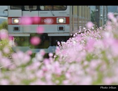コスモス鉄道
