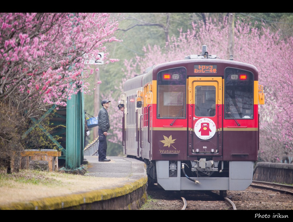 春色の駅