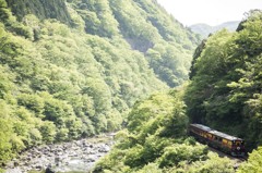 緑が眩しい渡良瀬
