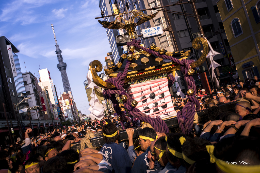 三社祭２０１６　⑤