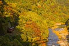 渡良瀬川の朝