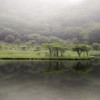 静かな朝