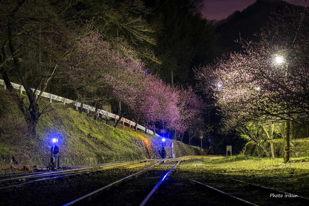 ファインダー越しの鉄路（闇鉄）