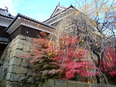 晩秋の上田城