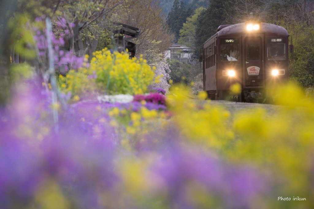 花の駅　上神梅（印象派）